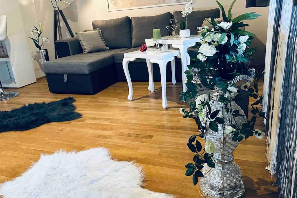 12-Fratelli Apartments Schloss Schonbrunn 10 To City Виена Екстериор снимка